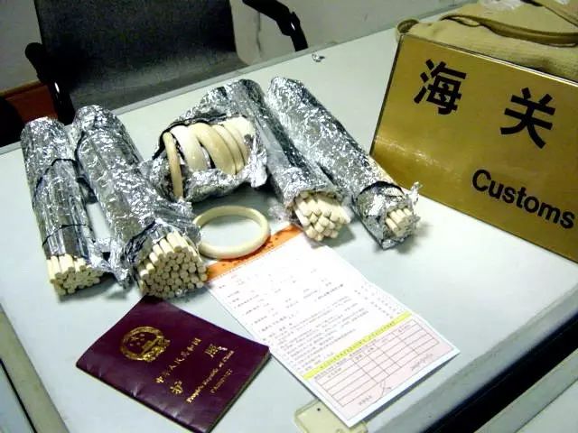 出国所带物品清单_出国旅游必带物品清单表格_出国旅游携带物品清单