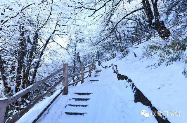 冬季峨眉山旅游攻略及费用_峨眉山冬季一日游攻略_峨眉山旅游攻略冬季