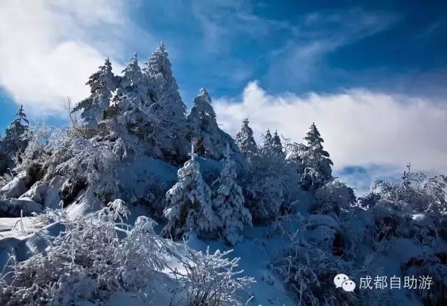 冬季峨眉山旅游攻略及费用_峨眉山冬季一日游攻略_峨眉山旅游攻略冬季