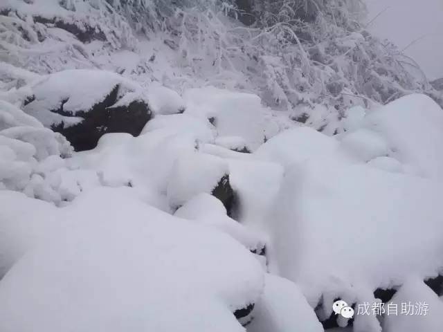 峨眉山旅游攻略冬季_冬季峨眉山旅游攻略及费用_峨眉山冬季一日游攻略