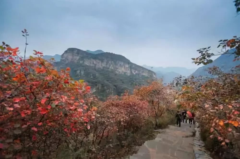 北京良乡旅游攻略_良乡旅游景点_良乡游玩攻略