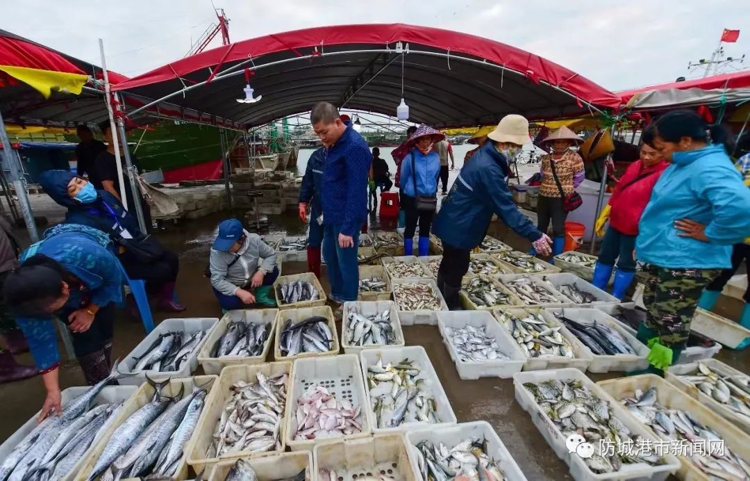 桂林阳朔北海_广西7天旅游攻略 北海-桂林-阳朔_桂林阳朔南宁北海旅游攻略