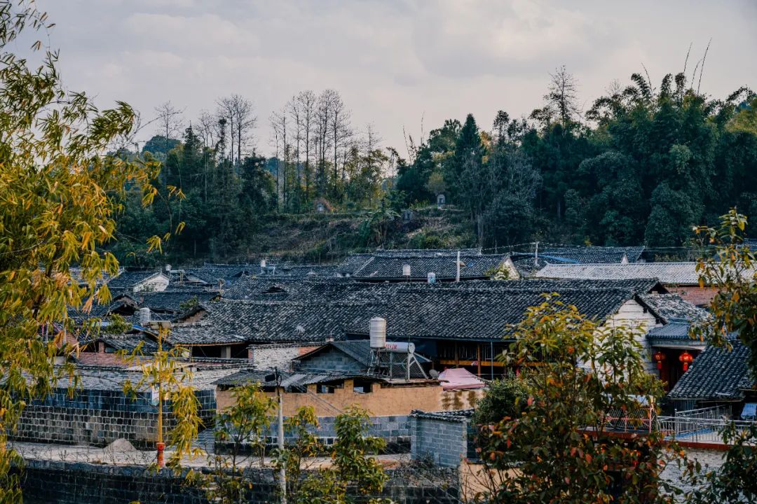 腾冲高黎贡国际旅游城_腾冲高黎贡帐篷营地_腾冲高黎贡山旅游攻略