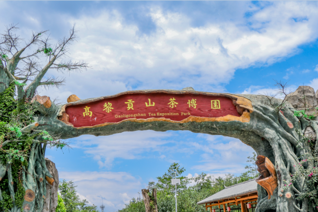 腾冲高黎贡山旅游攻略_腾冲高黎贡国际旅游城_腾冲高黎贡帐篷营地