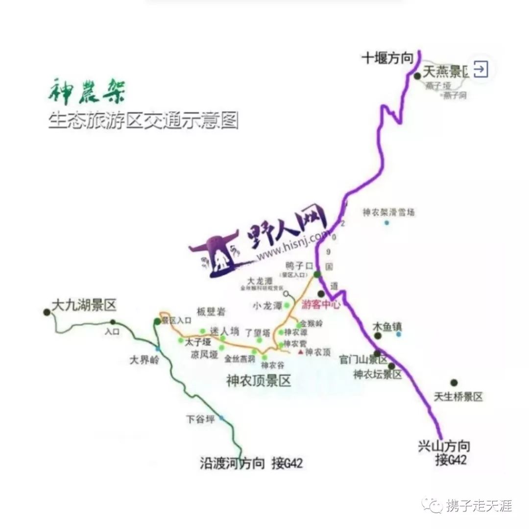 神龙架在哪儿_神龙架的景点介绍_神龙架天生桥旅游攻略