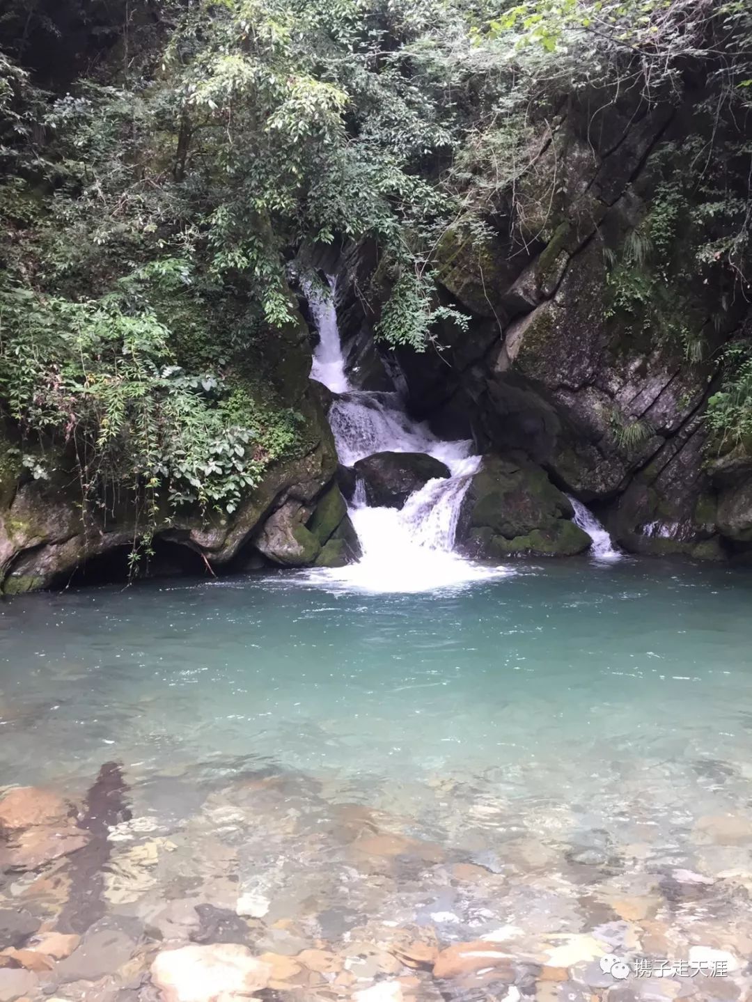 神龙架在哪儿_神龙架的景点介绍_神龙架天生桥旅游攻略