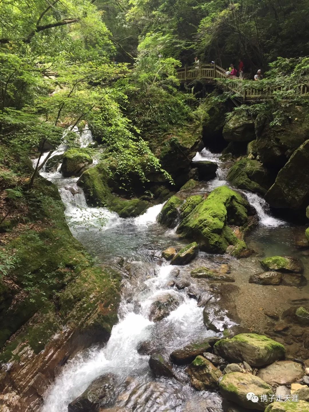 神龙架天生桥旅游攻略_神龙架的景点介绍_神龙架在哪儿