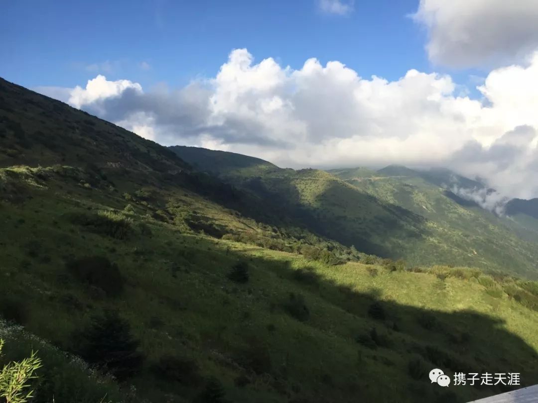 神龙架的景点介绍_神龙架天生桥旅游攻略_神龙架在哪儿