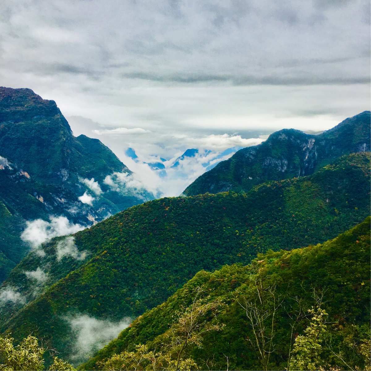 神龙架在哪儿_神龙架天生桥旅游攻略_神龙架的景点介绍