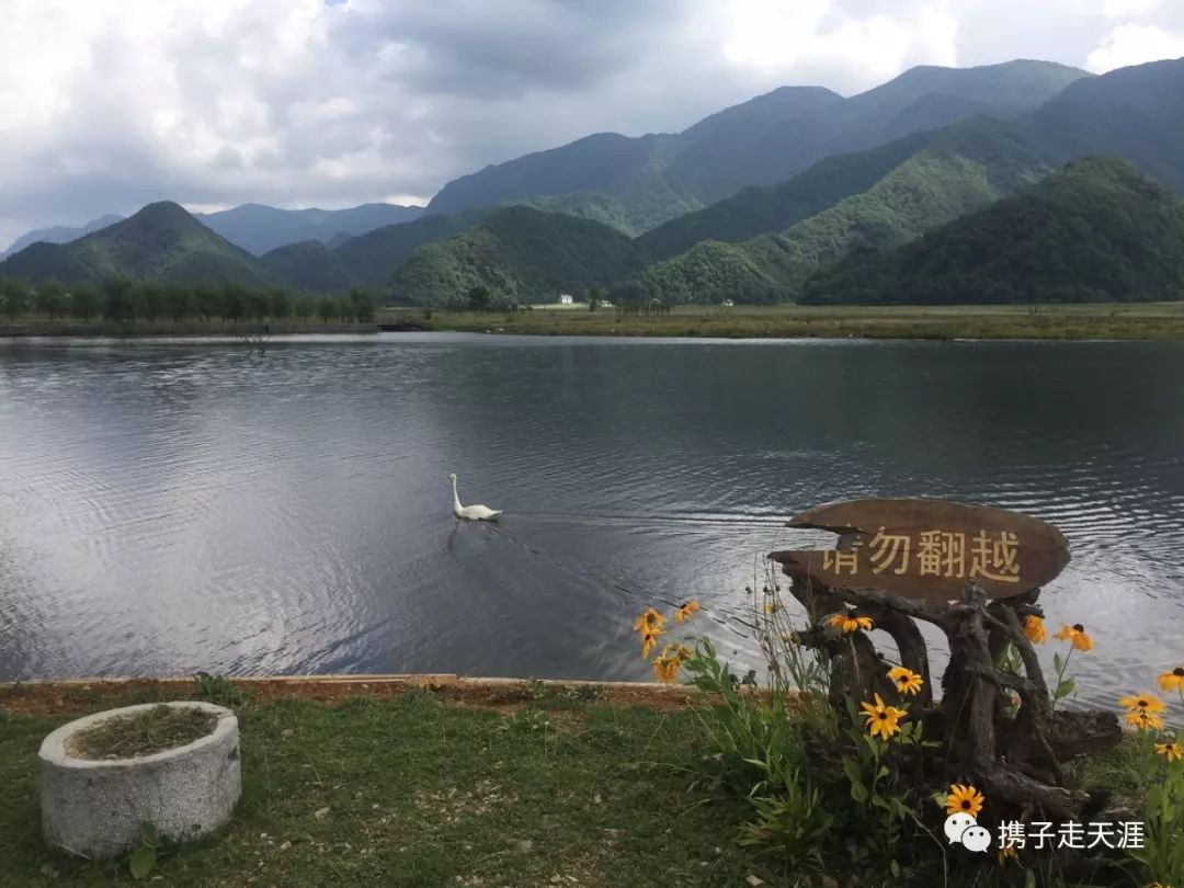 神龙架在哪儿_神龙架的景点介绍_神龙架天生桥旅游攻略