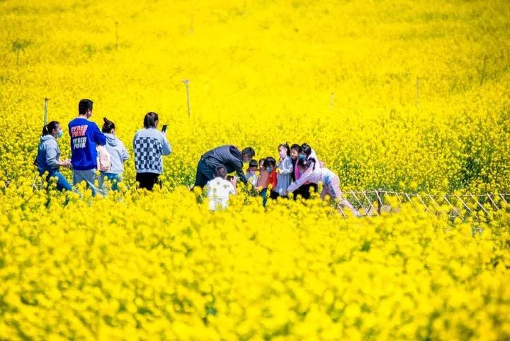 济南南部山区旅游攻略_济南南部山区好玩吗_济南南部山区的山