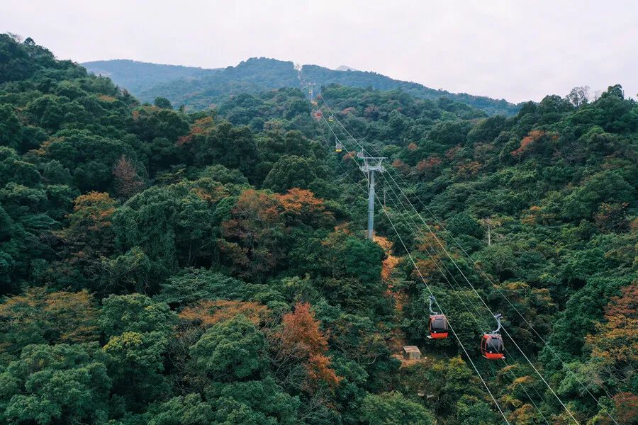 罗浮山景点名称_罗浮山好玩的景点介绍_罗浮山主要景点