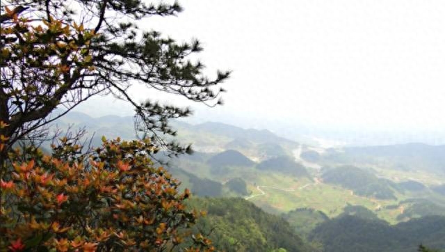 广西元宝山旅游攻略_广西元宝山门票价格_广西元宝山旅游景点在哪里