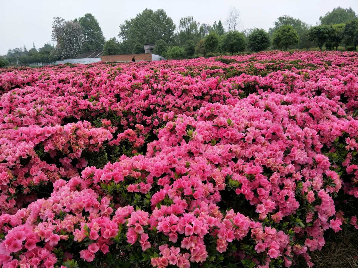 隆昌有哪些好玩的地方_台山周边好玩地方好玩_隆昌好玩的地方