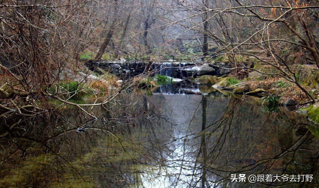 天台哪里好玩的景点_好玩景点天台图片_好玩景点天台推荐