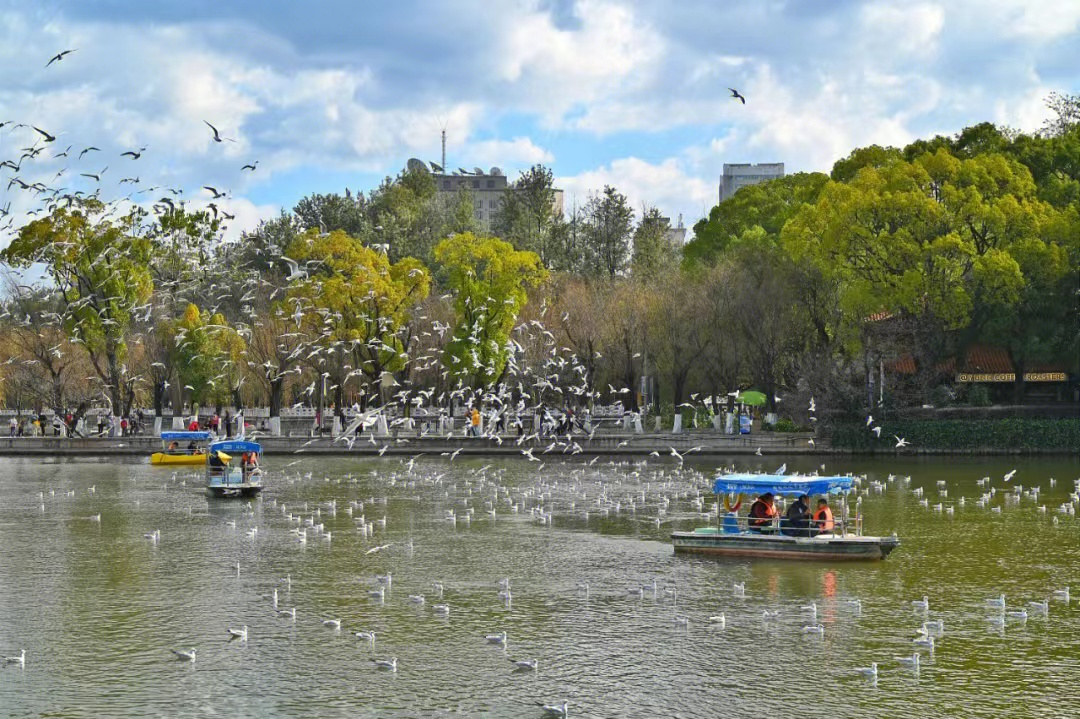 云南冬季旅游攻略_冬季云南旅游最佳路线_冬季云南旅游攻略自由行