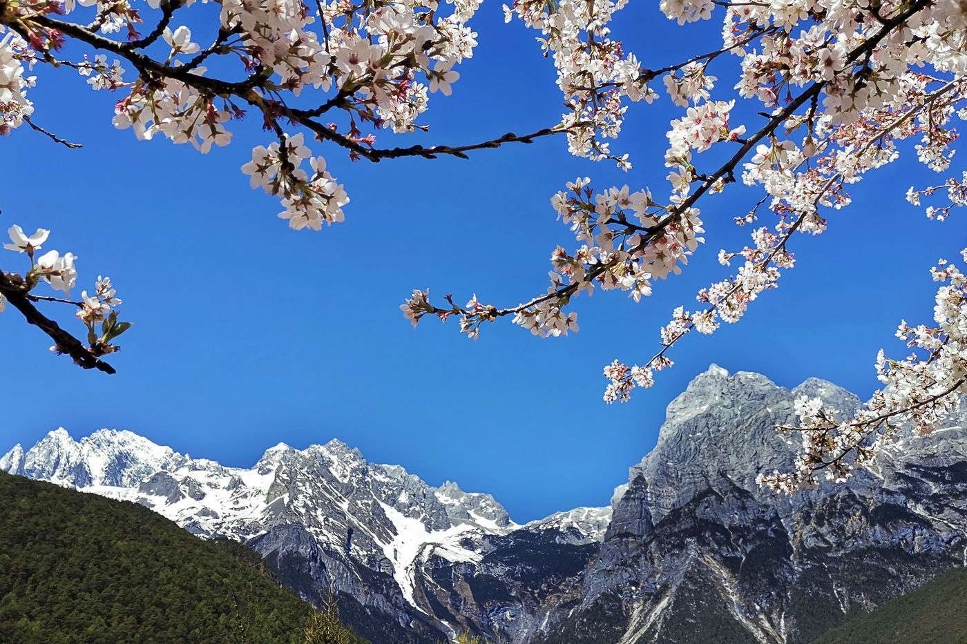 冬季云南旅游最佳路线_冬季云南旅游攻略自由行_云南冬季旅游攻略