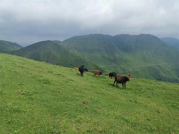 三岔湖游记_三岔湖旅游攻略_三岔湖游玩