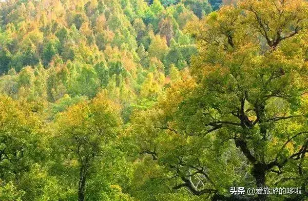 宽甸绿江村好玩吗_宽甸的绿江村_宽甸绿江村旅游攻略